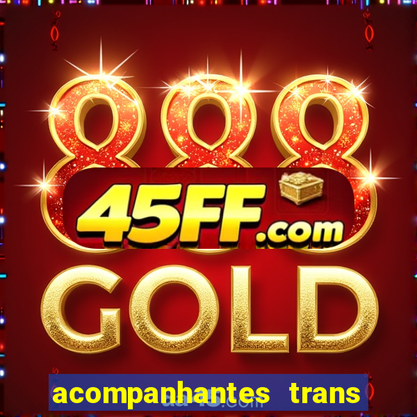 acompanhantes trans baixada fluminense